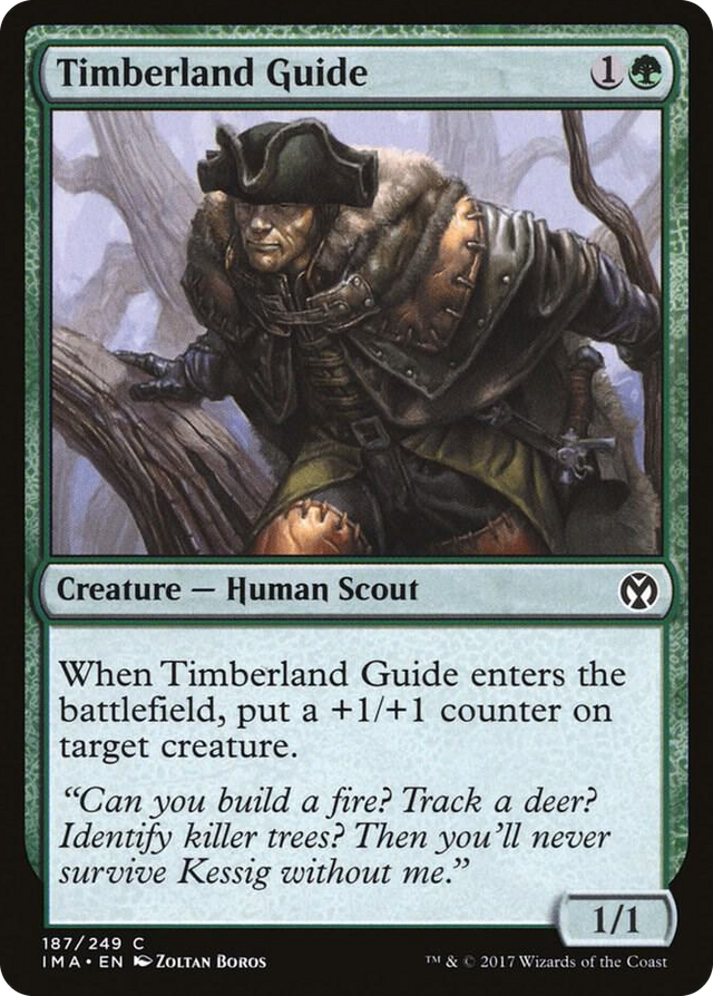 0187 Timberland Guide C Iconic Masters