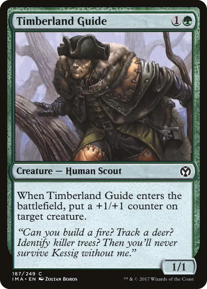 0187 Timberland Guide C Iconic Masters