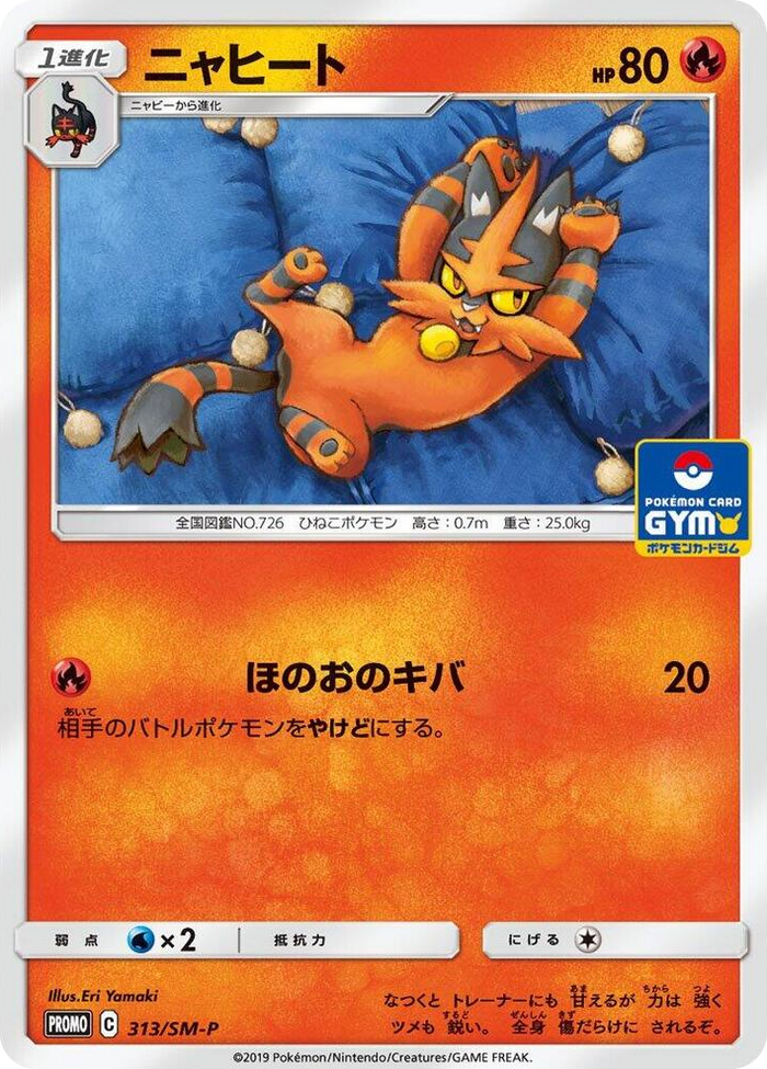 Torracat - 313/SM-P #313 - SM-P: Sun & Moon Promos Japanese Pokemon card