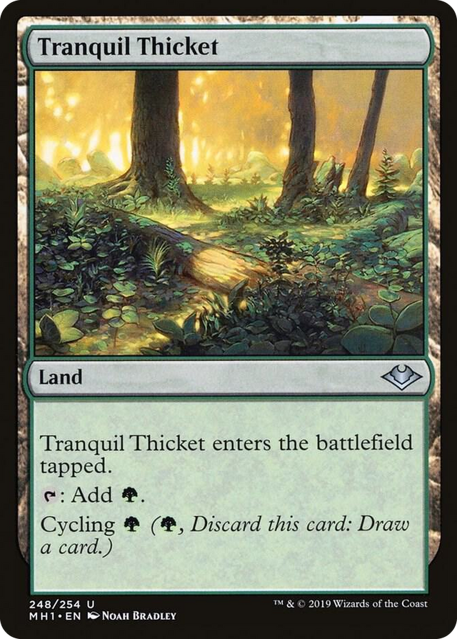 0248 Tranquil Thicket U Modern Horizons