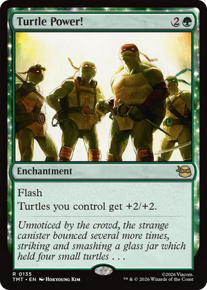 0135 Turtle Power! R Teenage Mutant Ninja Turtles