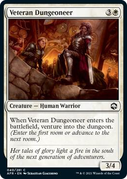 0040 Veteran Dungeoneer C Adventures in the Forgotten Realms