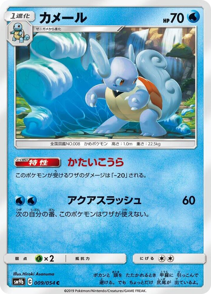 0009 Wartortle Common Full Metal Wall