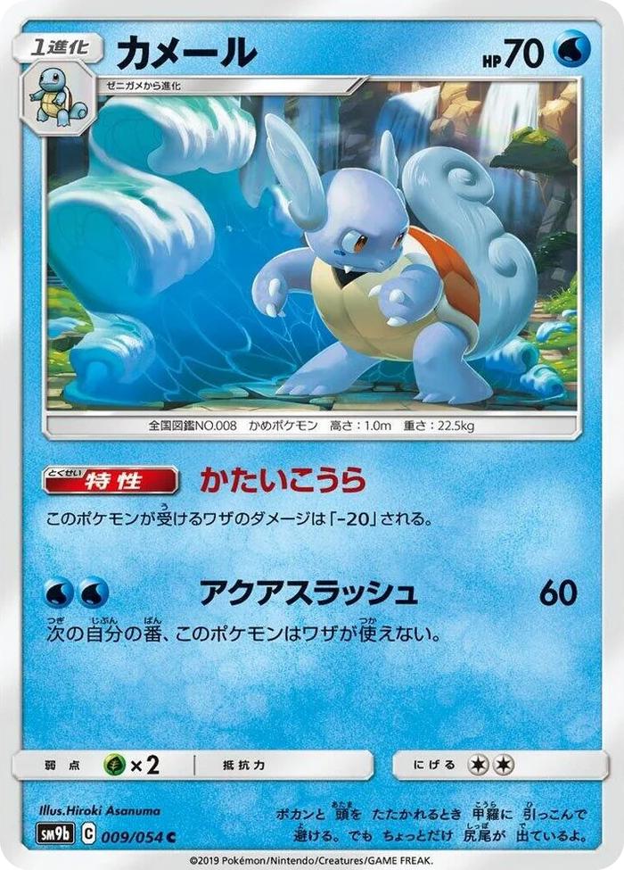 0009 Wartortle Common Full Metal Wall