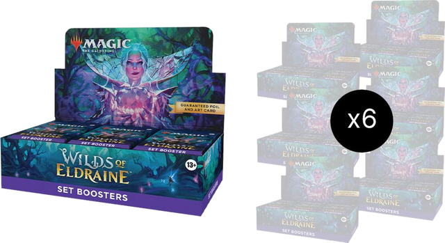 Wilds of Eldraine - Set Booster Display Case