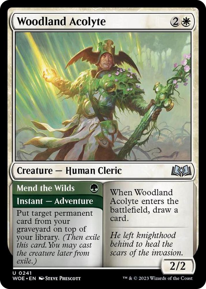 0241 Woodland Acolyte U Wilds of Eldraine