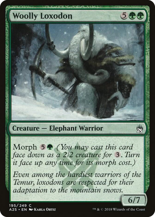 0195 Woolly Loxodon C Masters 25