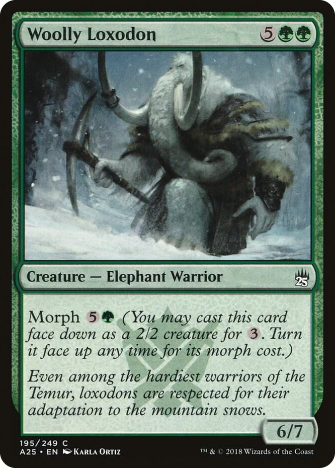 0195 Woolly Loxodon C Masters 25