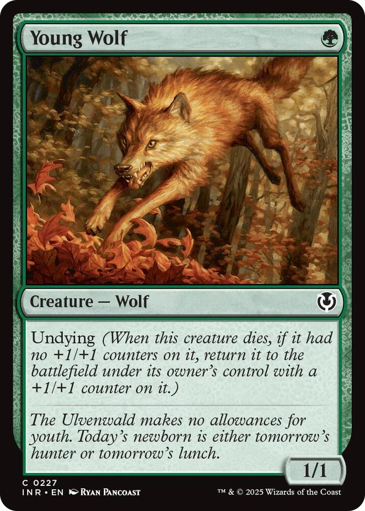 0227 Young Wolf C Innistrad Remastered