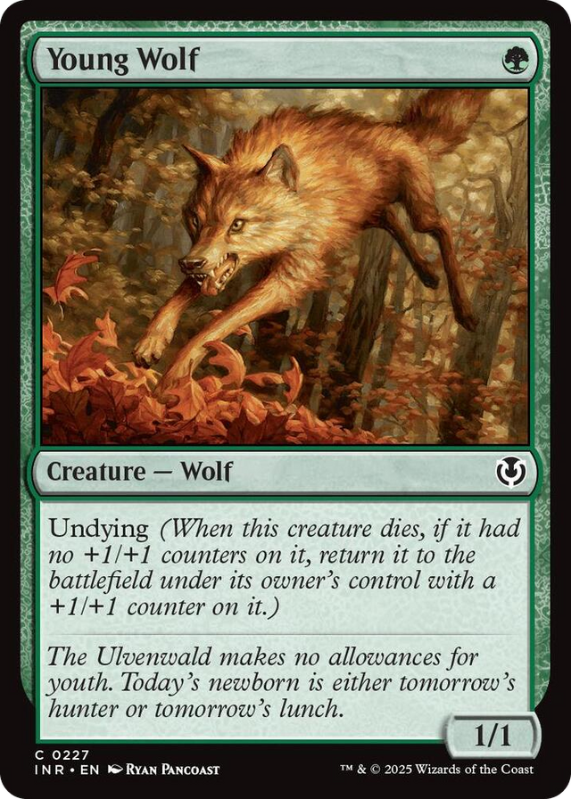 0227 Young Wolf C Innistrad Remastered