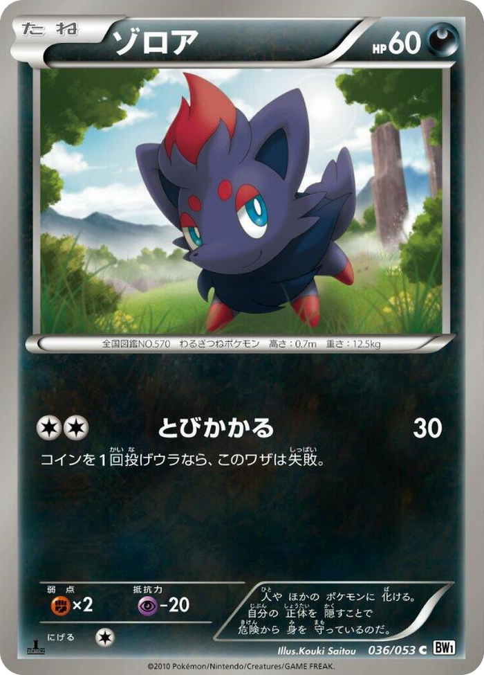 Zorua Common #36