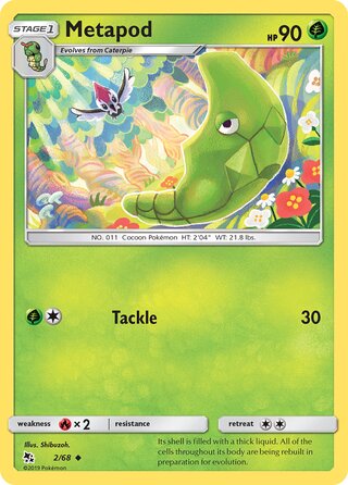 0002 Metapod  Hidden Fates