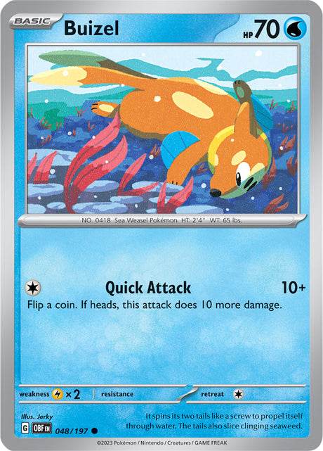 Pokemon Obsidian Flames Buizel #48